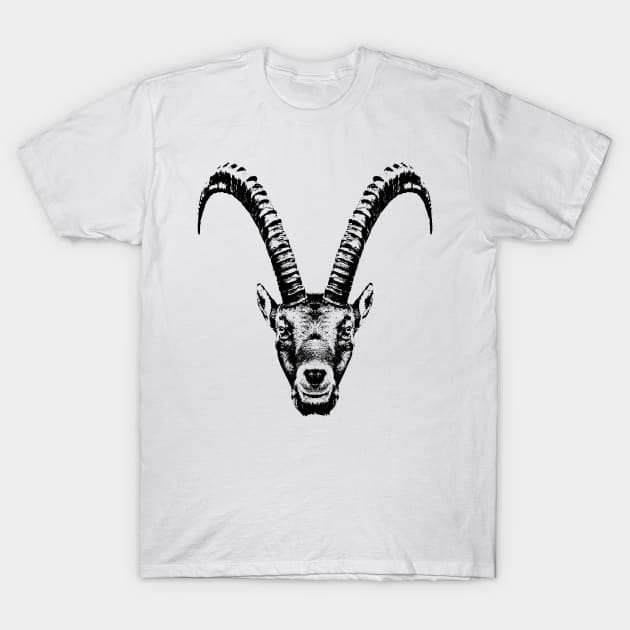 Ibex / head T-Shirt by R LANG GRAPHICS